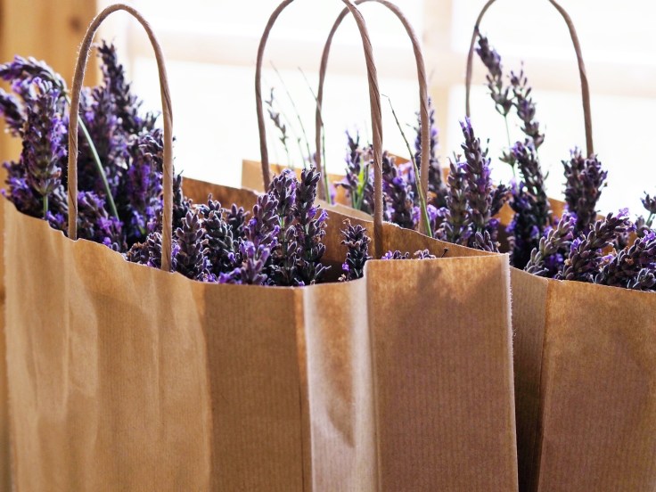 Lavender and Sunflower Farm Picture Book | Lavender and Sunflower Picking